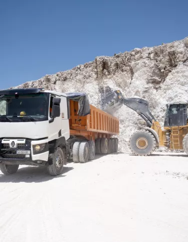 truck bois